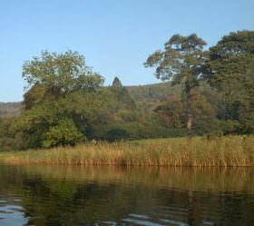 Walk or Run for the Wetlands